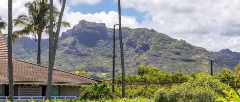 A house with a tiled roof, surrounded by lush greenery and palm trees, with a mountain in the background.
