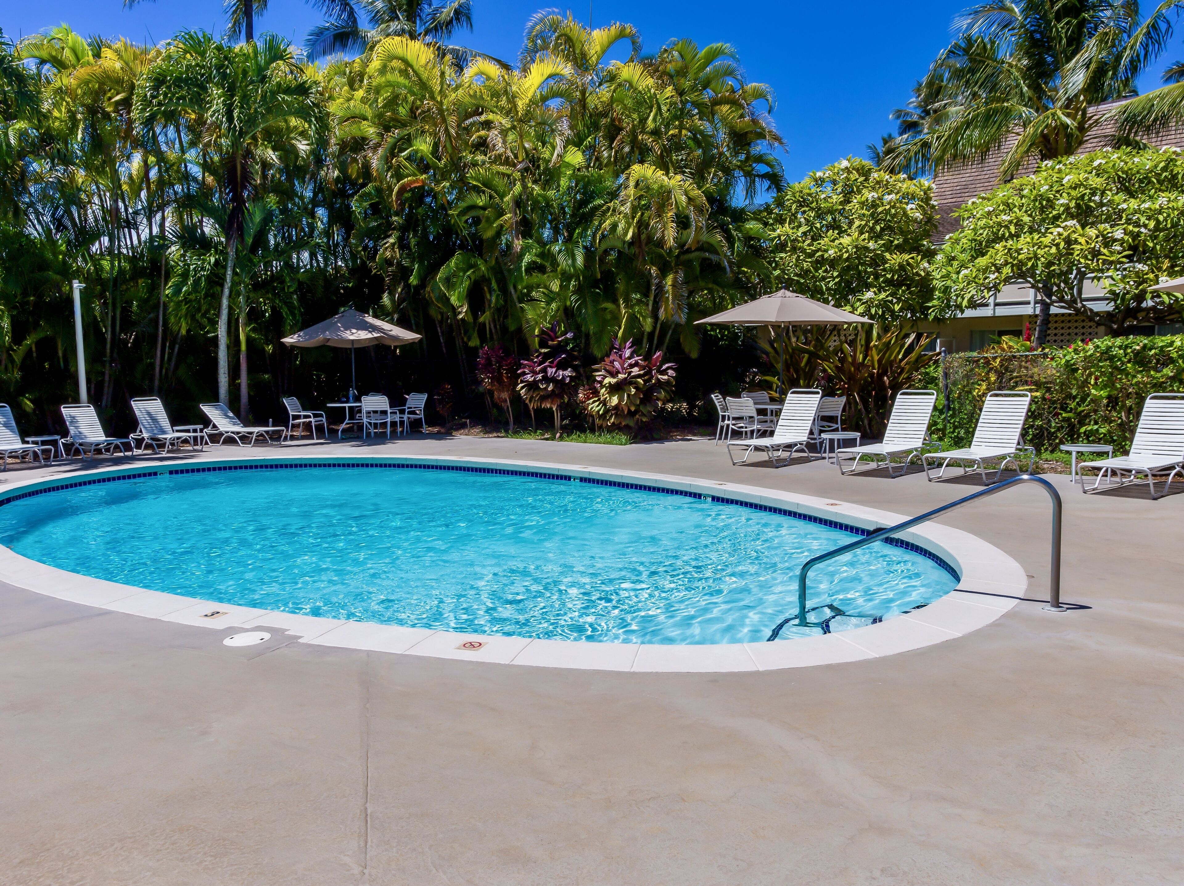 Appart'hôtel, 1 chambre | Piscine