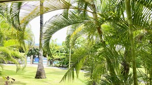 A lush garden with palm trees and a well-maintained lawn. - Kauai Plantation Hale Suites E12 1 Bedroom Condo (Kapaa)