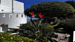 En moderne bygning med en cirkulær struktur og en hvid facade, omgivet af frodigt grønt og tropiske planter.