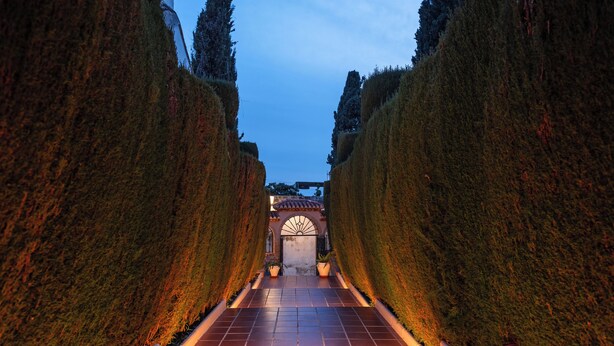 Un chemin menant à l’entrée d’un bâtiment, avec un sol carrelé et des haies taillées de chaque côté.
