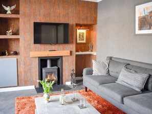 TV, fireplace