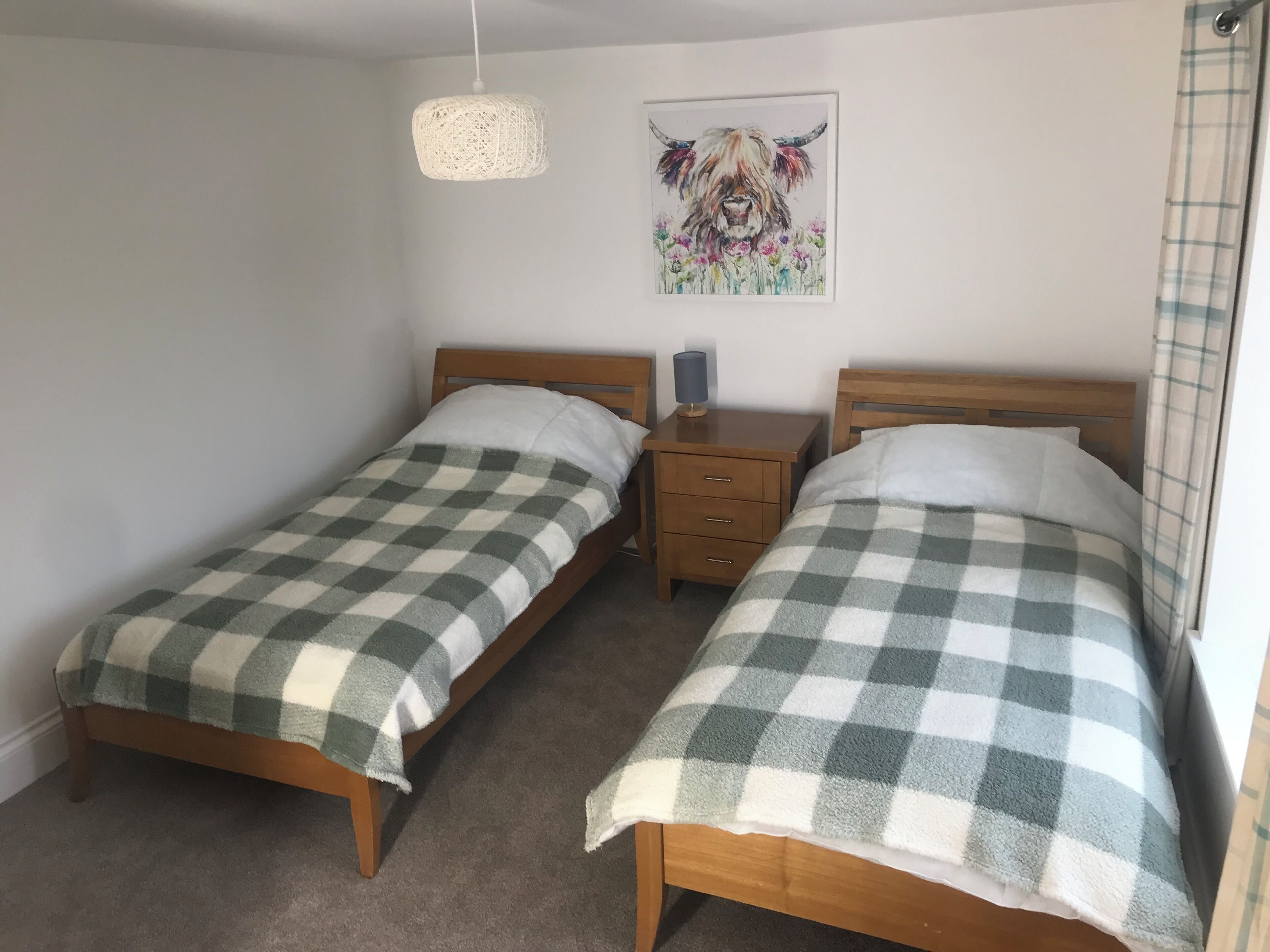 Een slaapkamer met twee eenpersoonsbedden, een nachtkastje met een lamp, een kunstwerk aan de muur en een hanglamp.
