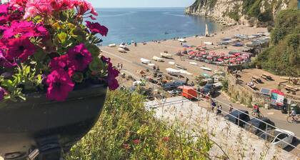 A wonderful holiday cottage close to the beach and town centre of Beer.
