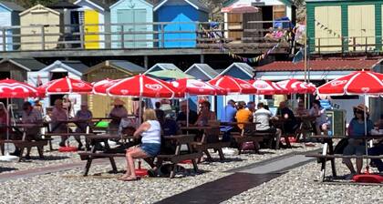 A wonderful holiday cottage close to the beach and town centre of Beer.