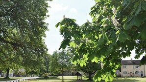 A park with a gazebo, a road, and a building in the background.