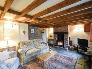 TV, fireplace - A really lovely warm, cosy and comfortable home from home. (Bishops Castle)