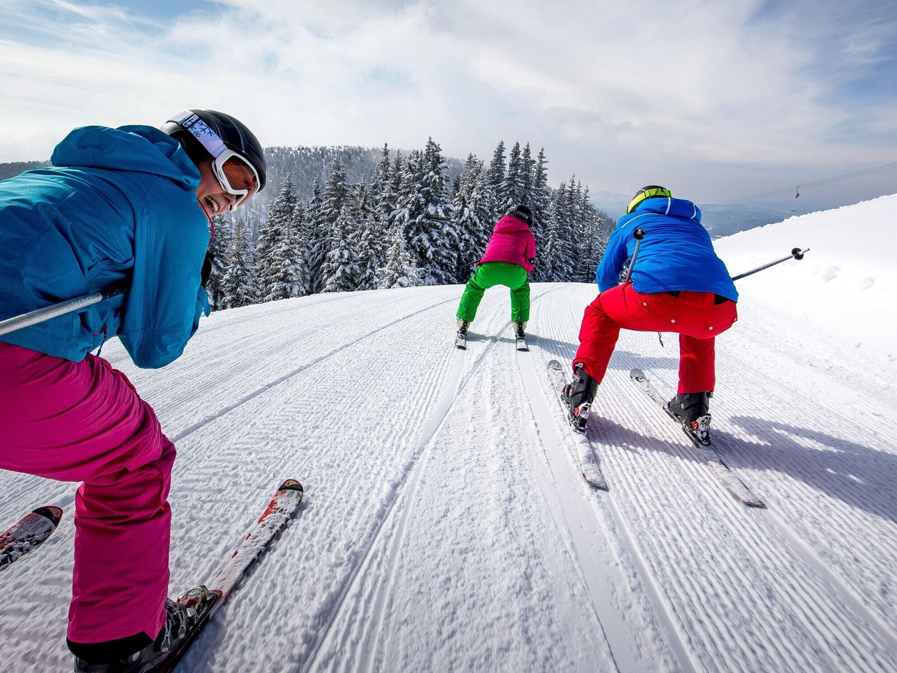Skiers on a snowy slope with trees in the background.