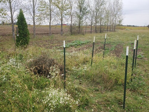 Charming campground in Belle Center with WiFi access