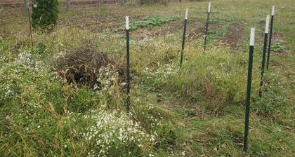 Charming campground in Belle Center with WiFi access