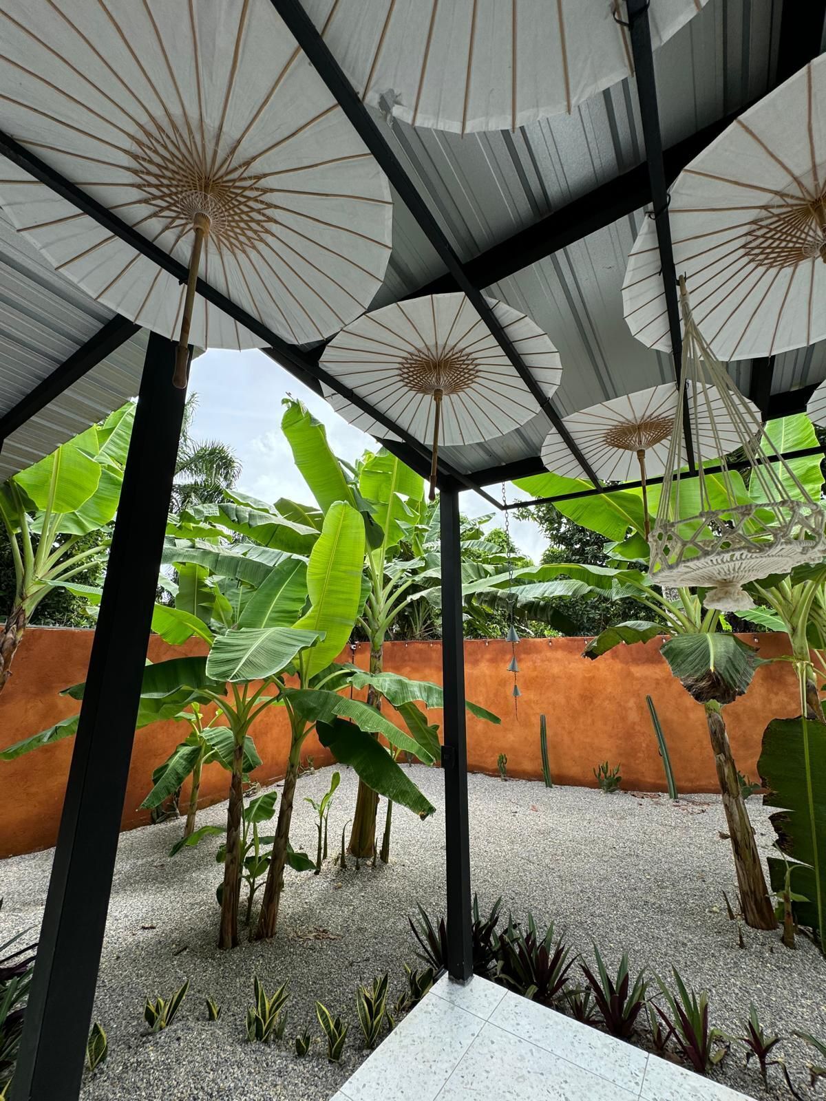 Een overdekt buitengebied met meerdere witte parasols, grote groene planten en een grindpad.