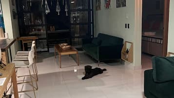 Superior House | Living area | Flat-screen TV