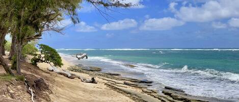 Una playa cerca