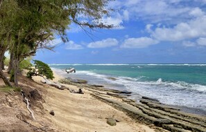 A beach with clear skies, rocky shoreline, and a tree on the left.