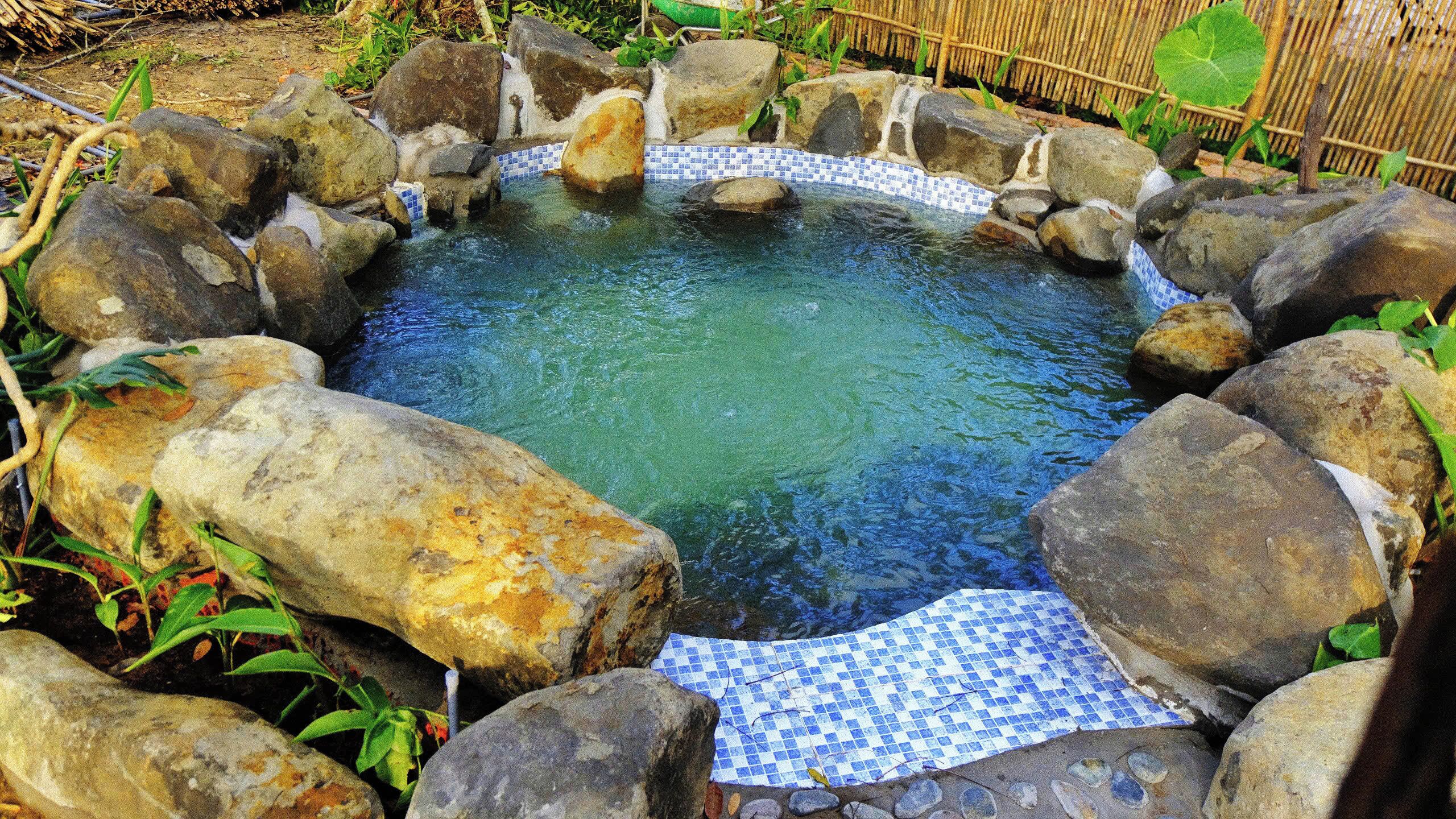 A hot spring surrounded by rocks and plants.