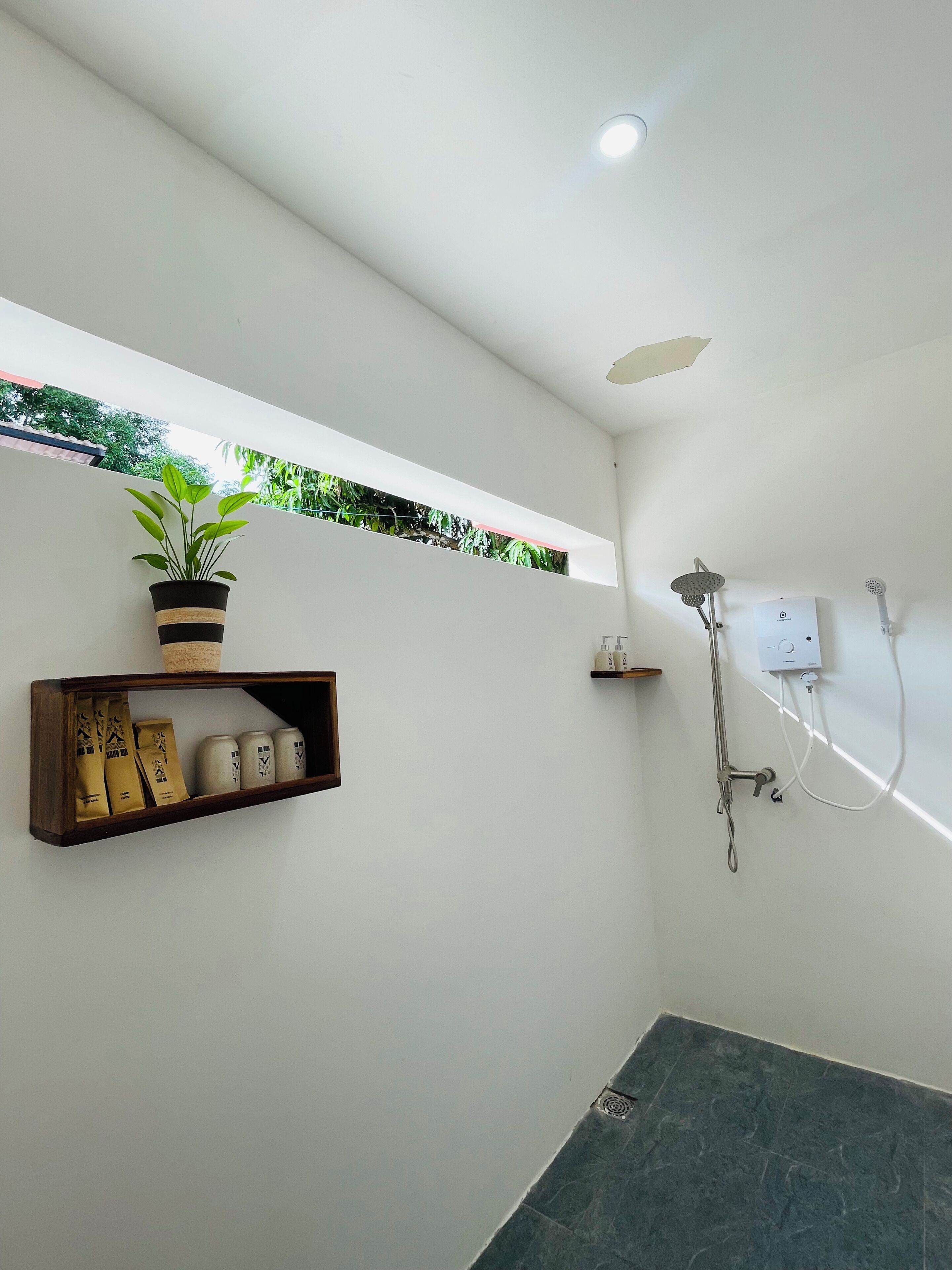 Un bany modern amb dutxa, una prateleira amb productes de tocador i una planta en test.