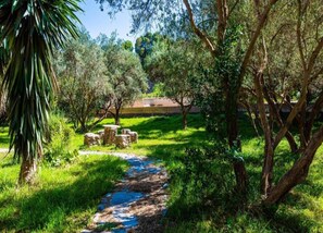 الإطلالة من المنشأة