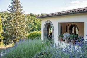 Exterior - Verde Mela (Canepina)