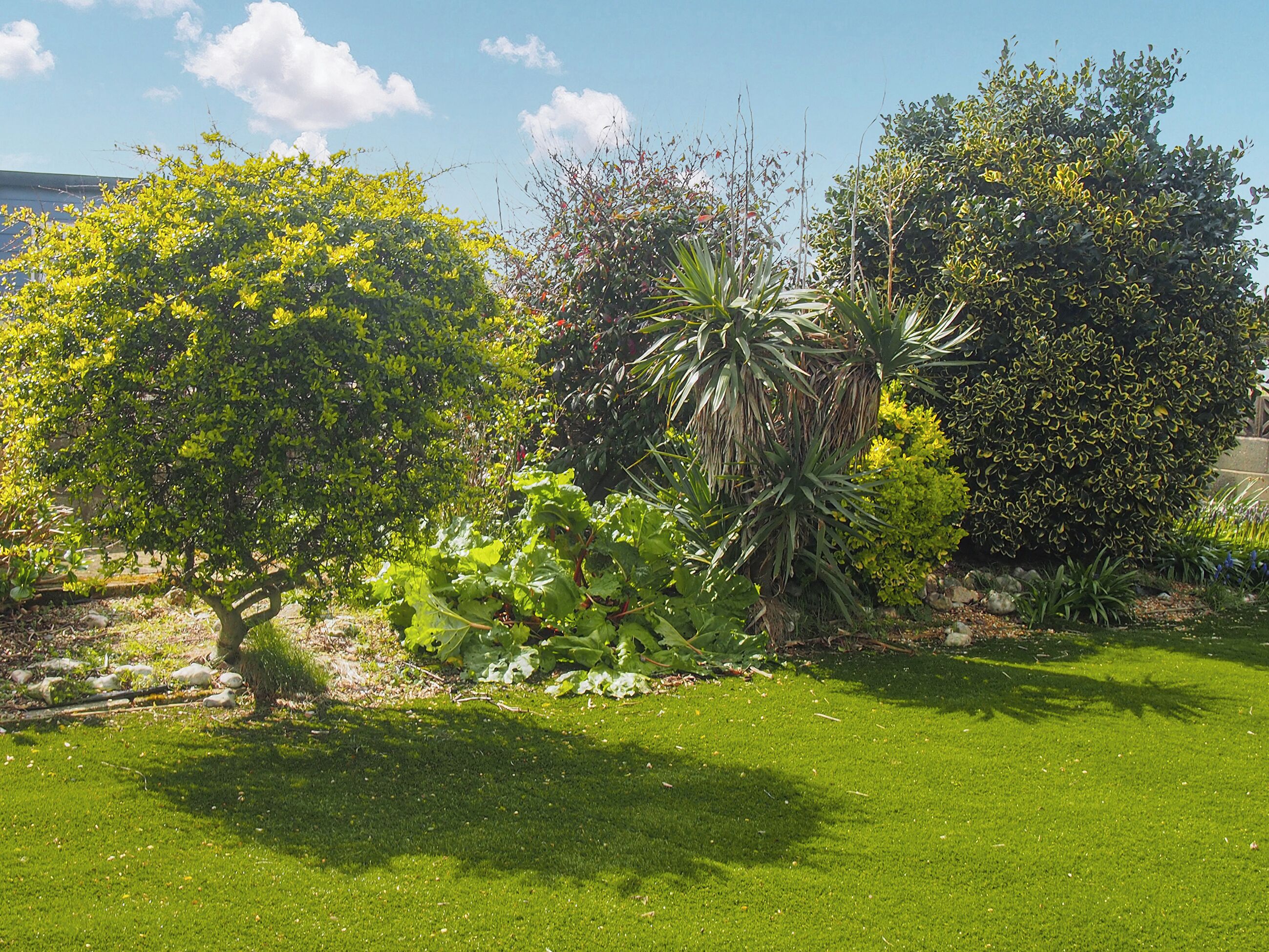 A well-maintained garden with various shrubs and a lawn.