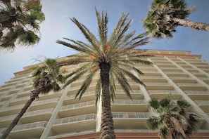 Un hotel de varios pisos con una palmera en primer plano y balcones en cada planta.