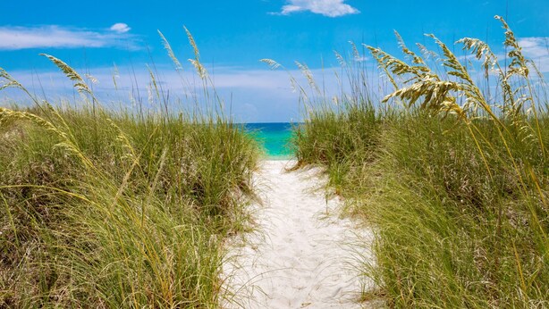A sandy path leading to a beach with tall grass on either side. - Seabbatical: Private heated pool, Free golf cart, 2min to beach, Game room (Miramar Beach)