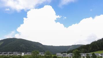 Chalet | View from property