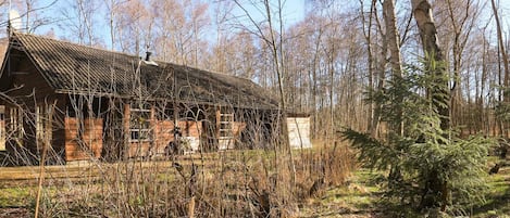 House | Pemandangan dari hartanah