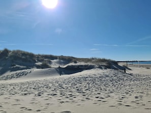 En sandstrand med sanddyner och fotspår.