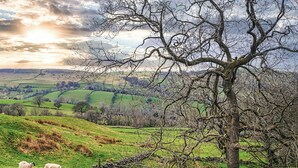 A rural landscape with rolling hills, a prominent tree in the foreground, and sheep grazing. - 1 bedroom accommodation in Combs, near Chapel-en-le-Frith (Combs, near Chapel-en-le-Frith)