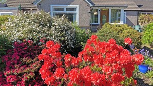 Une maison avec une façade en pierre, un toit à deux versants et un jardin devant, agrémenté de diverses plantes à fleurs.