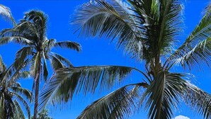 A public square with palm trees and a sculpture, benches, and a view of the sea. - Room with balcony at BLVD Hotel, fifth avenue (Playa del Carmen)