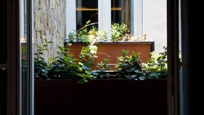 A view through a window with a stone wall and a window with white frames. - CASA XANTHE (San Miguel de Allende)