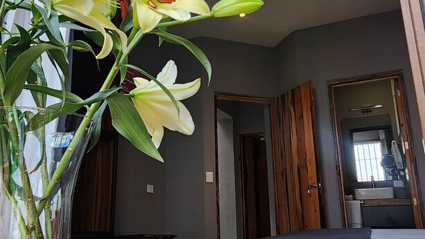 A room with a bed, a ceiling fan, a window with curtains, and a table with a book and a vase of flowers. - CASA XANTHE (San Miguel de Allende)
