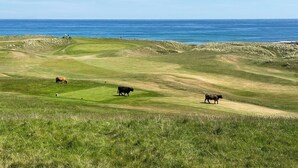 A golf course with a view of the ocean. - No.4 The Links Apartments (Brora)