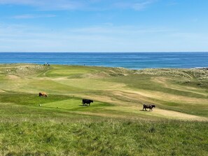 Golf - No.4 The Links Apartments (Brora)