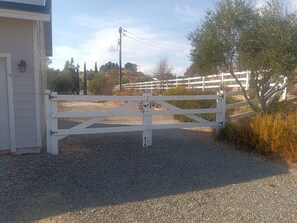 Property grounds - The Wine Ranch is close to wineries, horses, soccer and pet friendly. (Temecula)