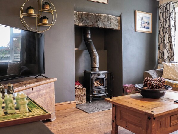 TV, fireplace