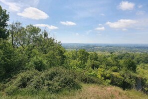 House | Miscellaneous - Tranquil Wells Retreat (Wells)