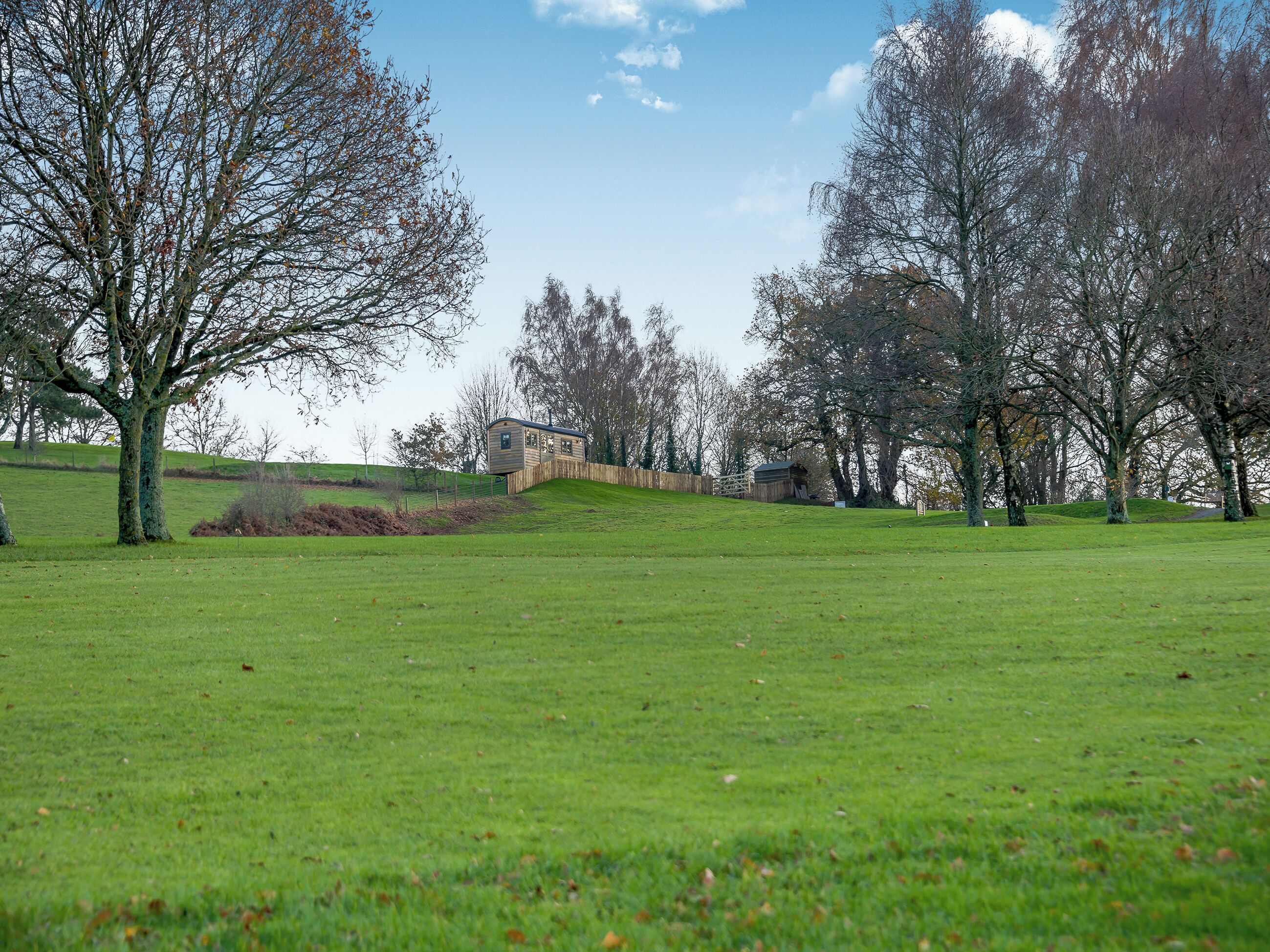 A grassy field with a wooden structure and trees.