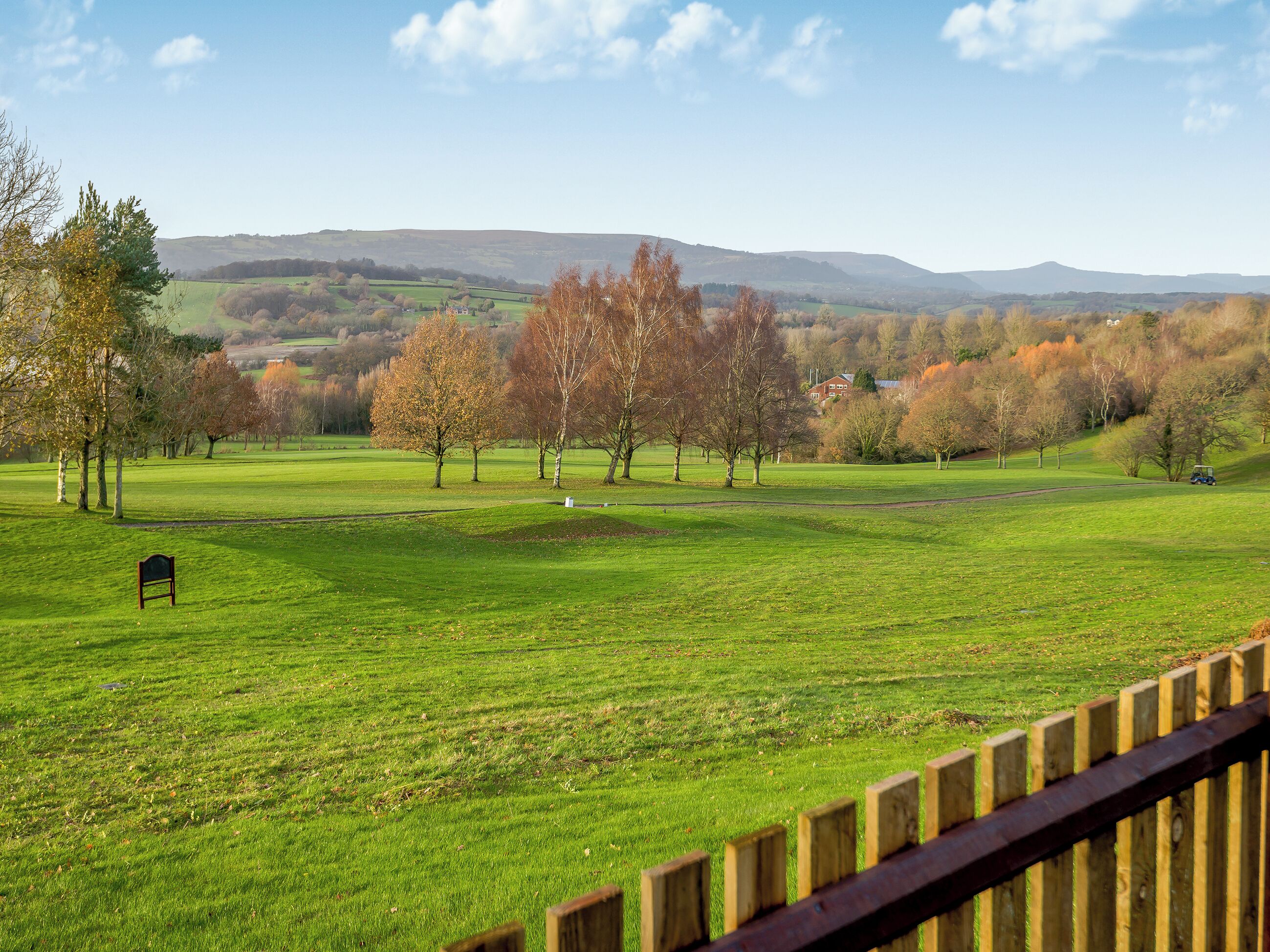 A grassy field with trees and a distant building.