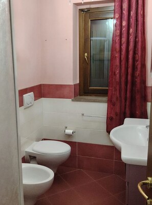 Shower, hair dryer, bidet, towels