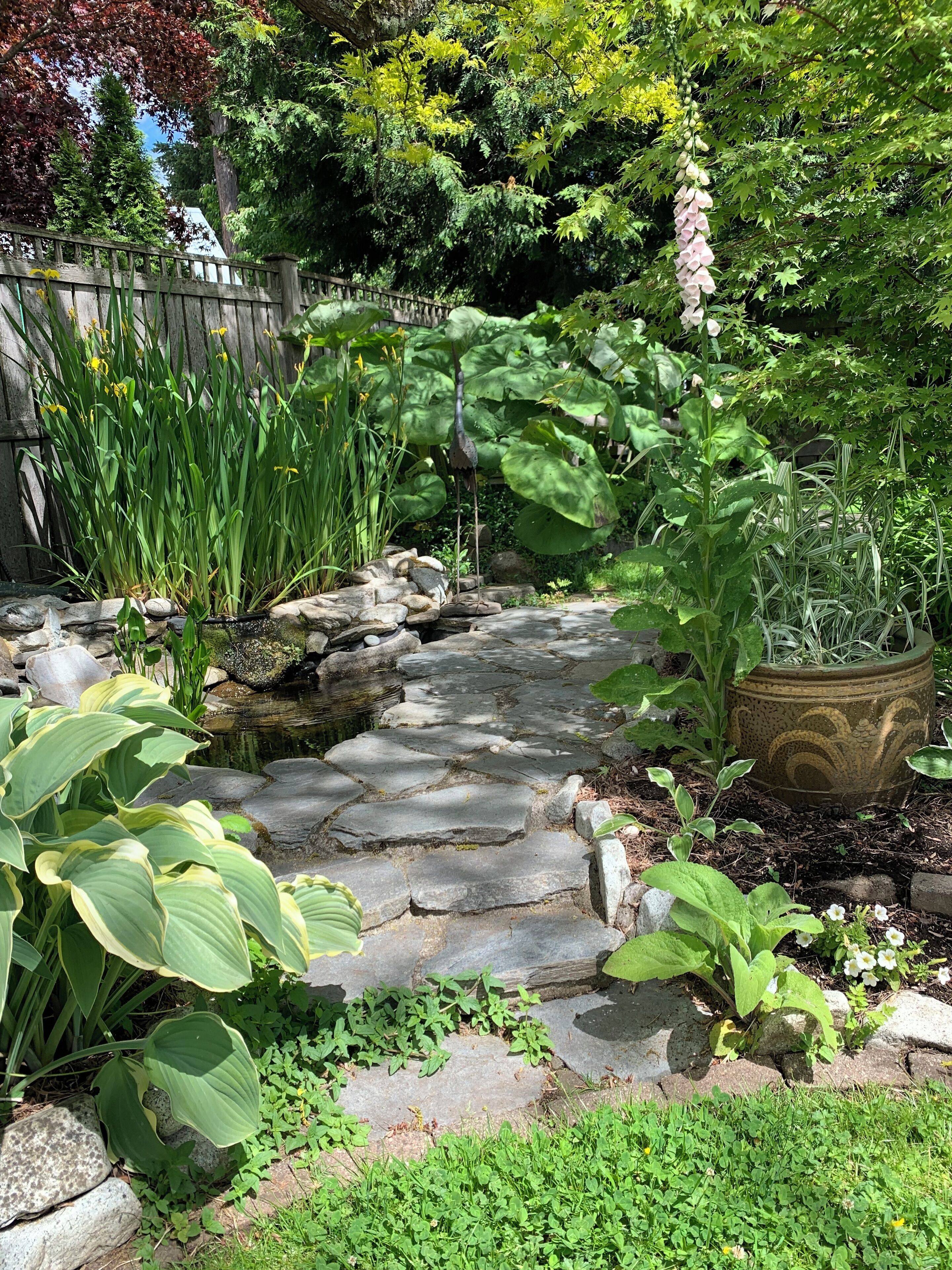 Enceinte de l’hébergement