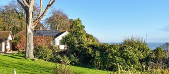 Pines Cottage - UK42110