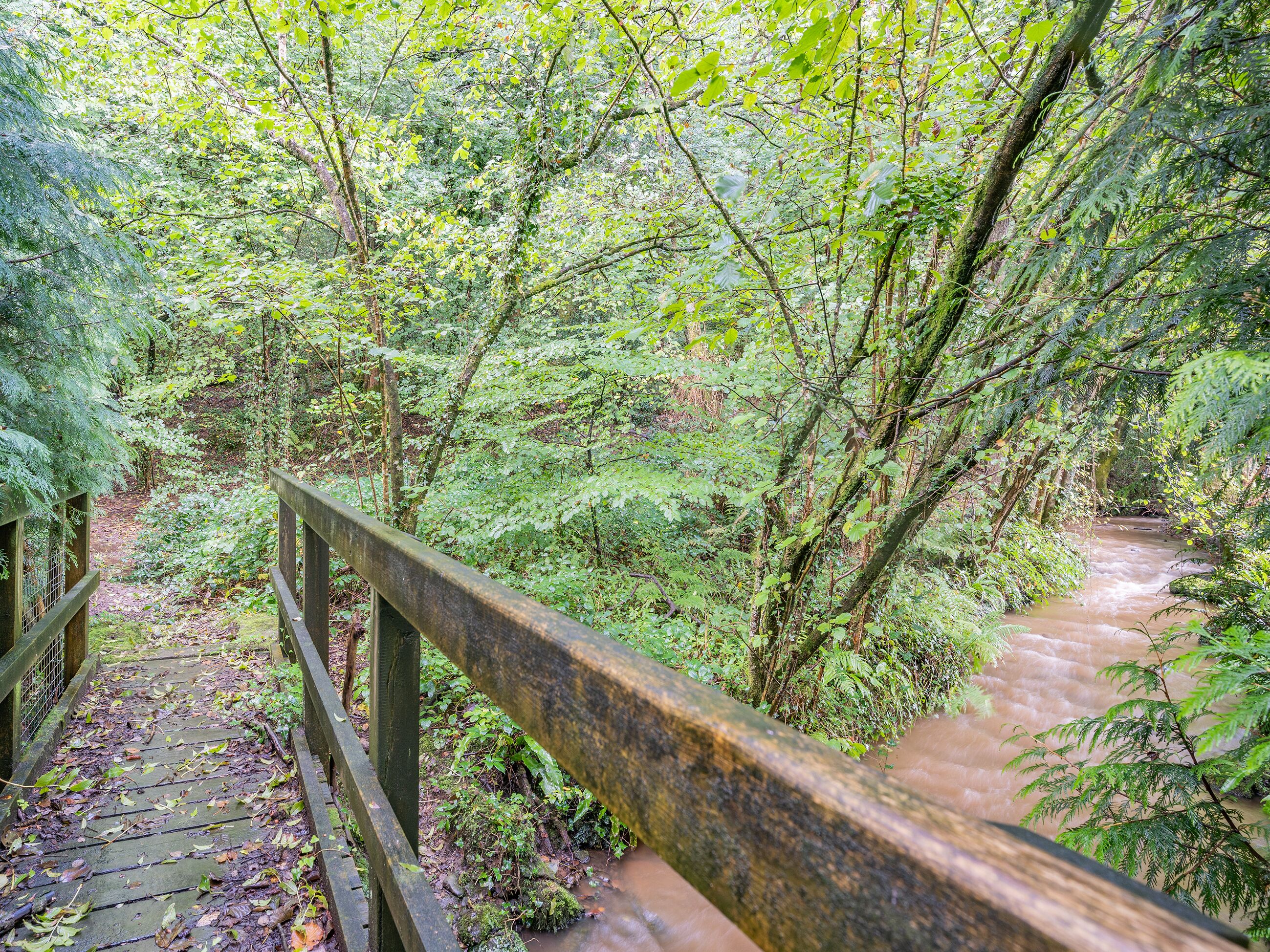 Áreas de la propiedad