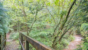Un pont en bois enjambant un ruisseau dans une zone boisée.