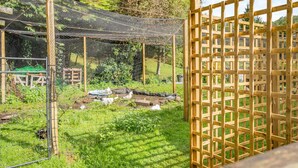 Un espace extérieur clos, délimité par une clôture, avec un portail en bois, un terrain herbeux et une structure en treillis métallique.