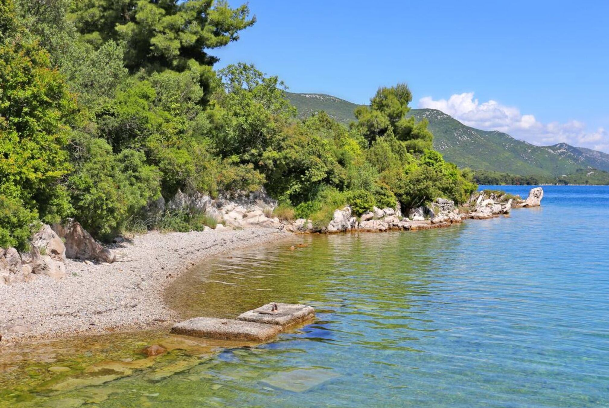 A clear view of a pebble beach with a calm sea, surrounded by dense green trees and rocky outcrops.