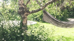Unclassified image, 2 of 17, button - The Organic Cabin - UK42325 (Horsington Marsh, near Templecombe)