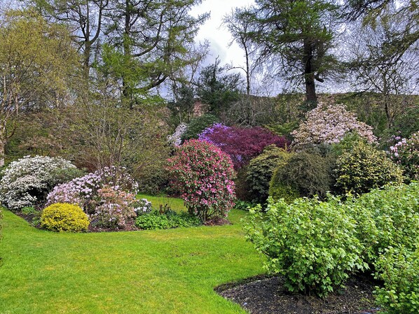 Terrein van de accommodatie