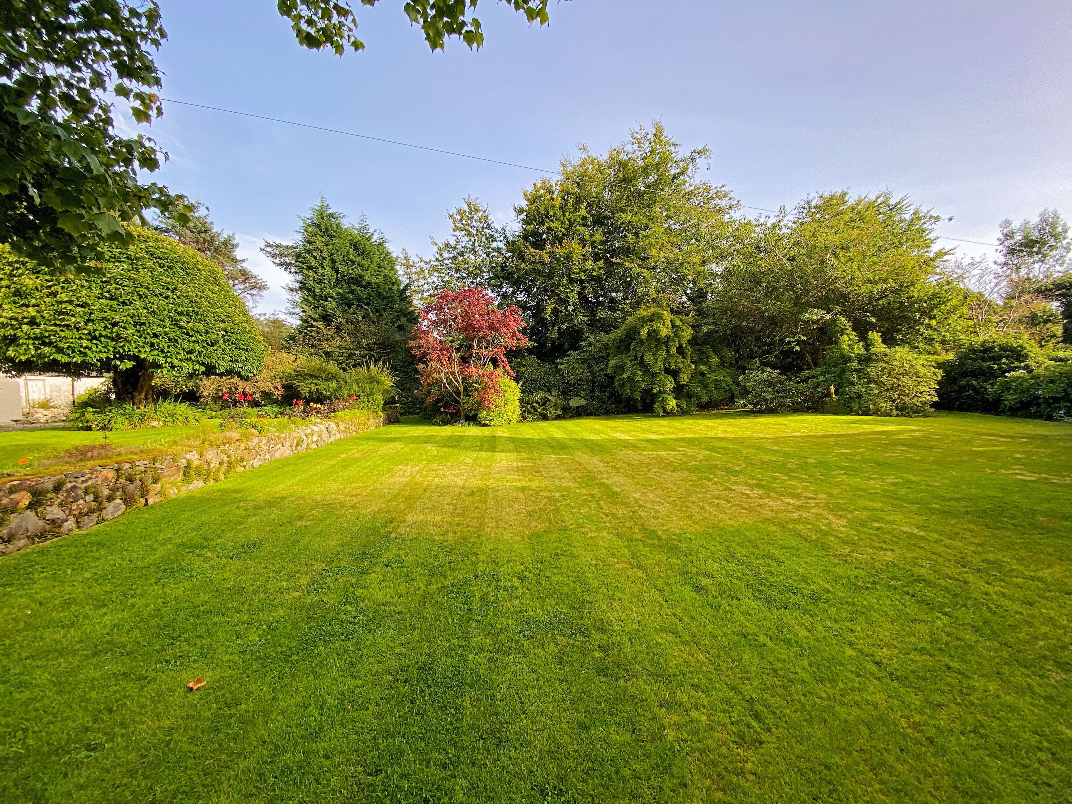 A well-maintained lawn with a stone wall and various trees, including one with red leaves.